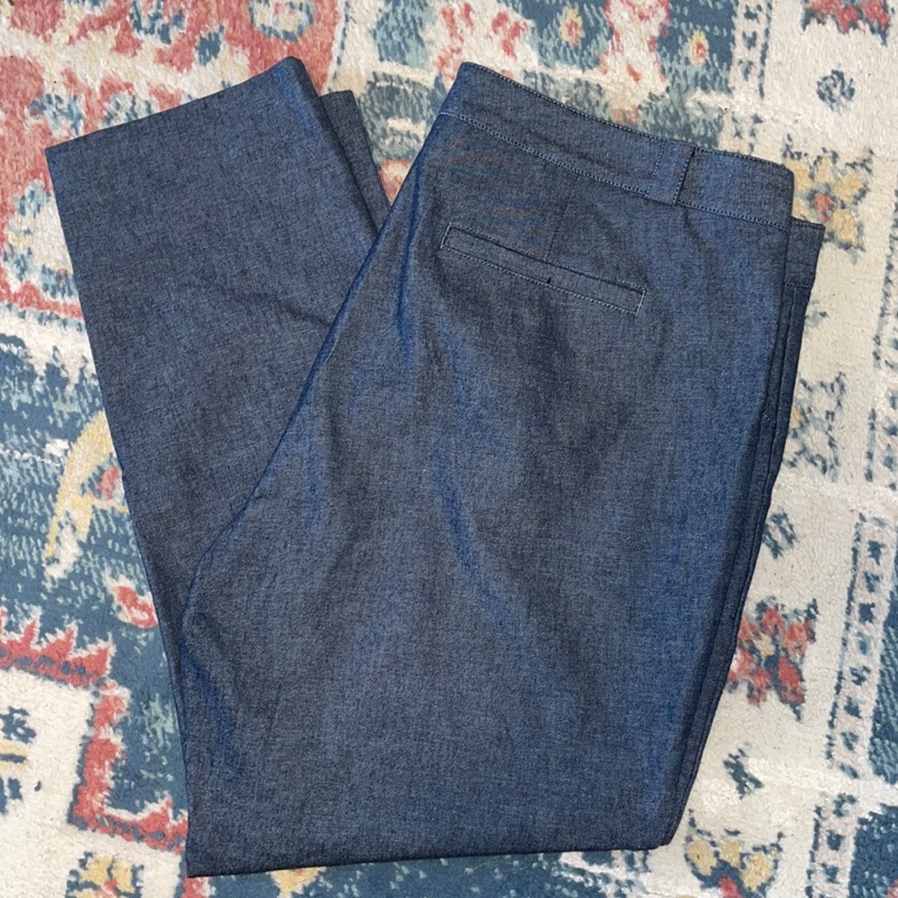 NWOT Banana Republic Sloan Ankle Pants Sz 16